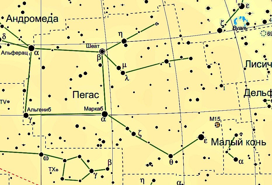 Картинки большая медведица окружающий мир (67 фото)